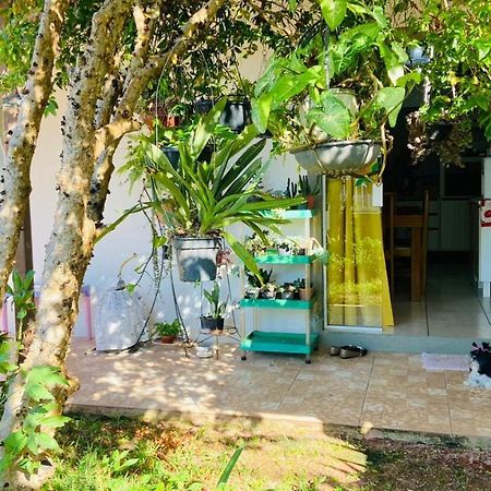 Para Desfutar Com A Familia Bombinhas Exteriér fotografie